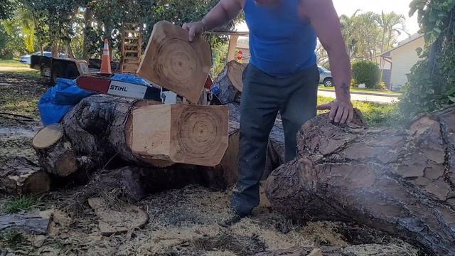 STIHL 064 AV PORTED 20" BAR & CUT смотреть онлайн