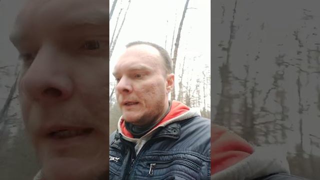 Бектемир Меликузиев-Алан Кампа прогноз.Бой 31 октября смотреть онлайн