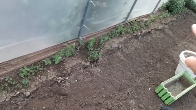 Сажаю огурцы и земляничку. смотреть онлайн