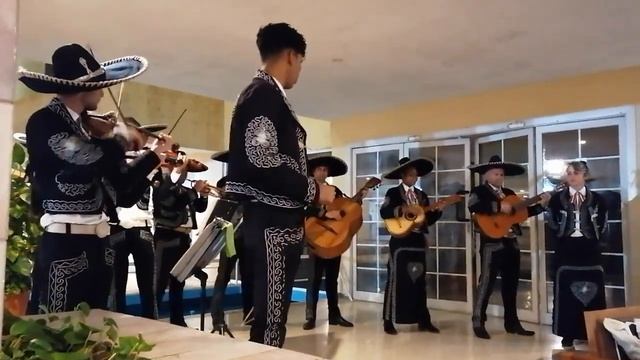 Отель OCCIDENTAL ARENAS BLANCAS 4 (Варадеро) Куба. Cuba. Varadero смотреть онлайн