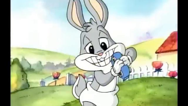 Baby Looney Tunes Intro
