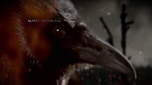 Сериал: Викинги (Вступление). Vikings (Intro) смотреть онлайн