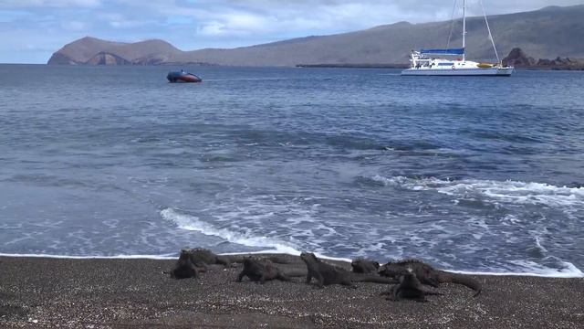Cruising Galapagos, Ecuador [Amazing Places 4K] смотреть онлайн