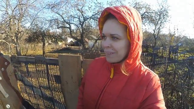 Денег нет, всё путём! || Сельский бизнес прёт || Ремонтант не вызрел || Вопрос к знатокам! смотреть онлайн