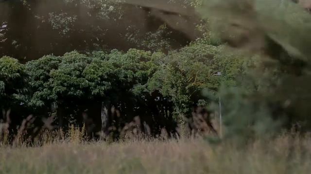 "Деревья шепчут о былом", муз. В.Перекрёстов, исп. Г.Шипилов смотреть онлайн