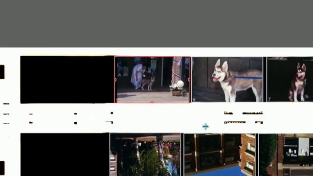 Tutorial : How to Scan Film Negatives Using SilverFast Software смотреть онлайн
