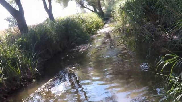 Форель на нахлыст красивые кадры!!! смотреть онлайн