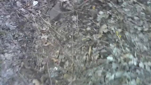 ANOTHER ADVENTURE PART 1 смотреть онлайн