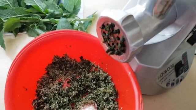 Зоопарк и Дикие Животные