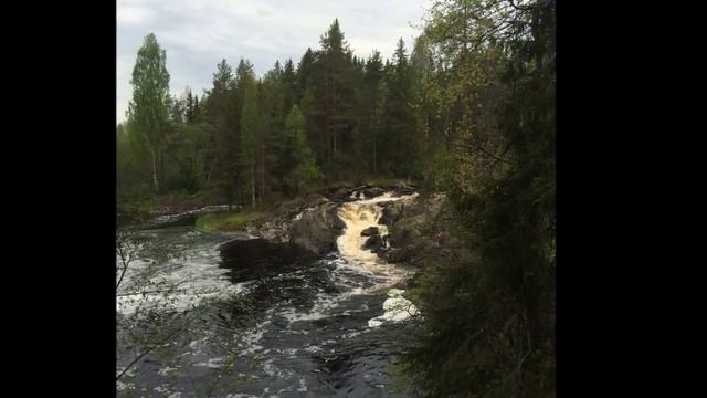 Мишкин день рождения смотреть онлайн