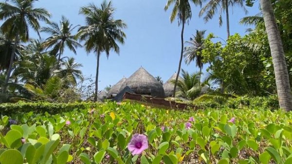 Bandos Maldives #bandos #maldives #malediven