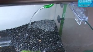 Запуск, заливка старой воды из другого аквариума