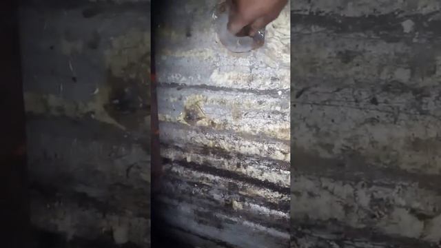 луаз донор смотреть онлайн