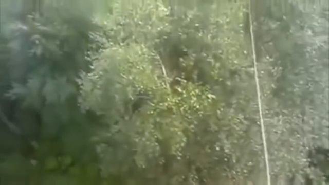 Как прыгают из окна в России смотреть онлайн