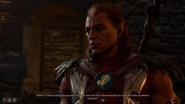 Saving a Bear From Goblins,I Mean a Druid--Baldur's Gate 3 смотреть онлайн