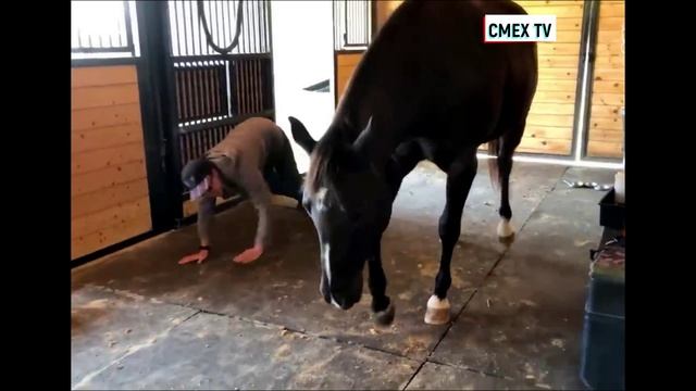 Криповые приколы с животными кошечками и собачками смотреть ТОПовую подборку смотреть онлайн