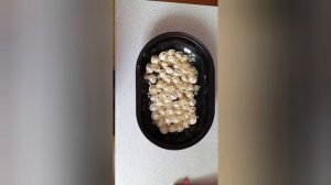 Пельмени запеченые в духовке