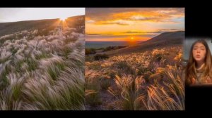 Окружающий мир. Степи. 4 класс