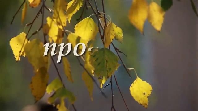 НЕПУТЁВЫЙ группа ТУ-134 АВТОРСКАЯ ПЕСНЯ смотреть онлайн