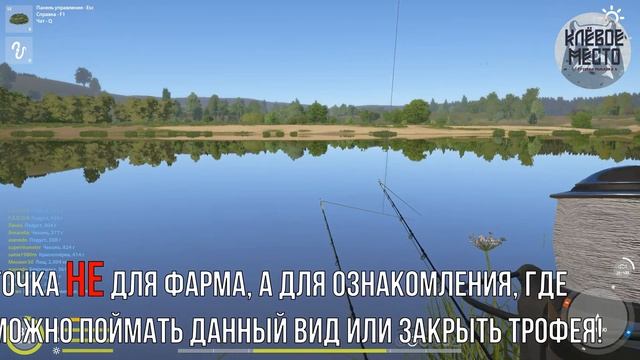 Русская рыбалка 4 - Фарм | р. Сура Подуст |- рр4 троф подуст сура смотреть онлайн