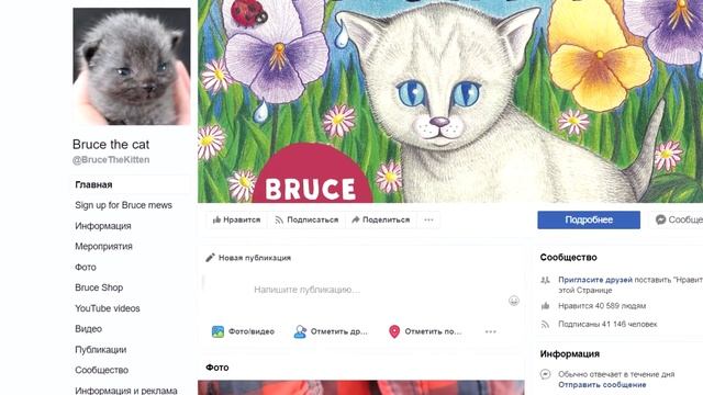 Они думали что спасли милого серого котёнка, но затем его окрас полностью поменялся смотреть онлайн