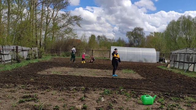 Разминка органов движения на открытом воздухе. Timelapse смотреть онлайн