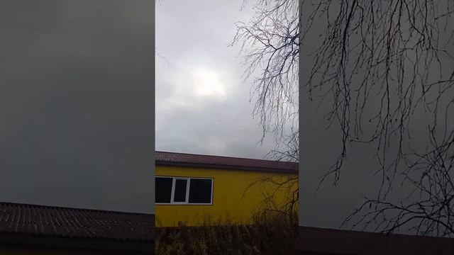 С Севера на Юг летят перелётные птицы! Гуси Лебеди! смотреть онлайн