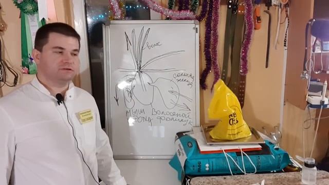 Как потеют собаки, как часто и с чем их можно купать