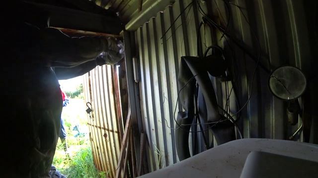 Как избавиться от ос - быстро убираем осиное гнездо из гаража смотреть онлайн