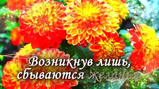 С Днём Рождения! Изумительное красивое поздравление С Днем Рождения! смотреть онлайн