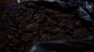 Шампиньоны и покровный грунт | Торф | Состав и свойства | Как сделать?