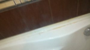 Пароочиститель работает? Обзор пароочистителя DEXP SCF-1000H