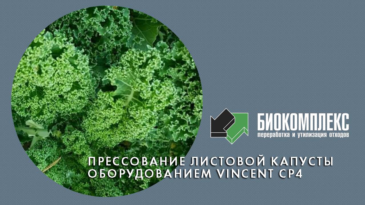 Прессование листовой капусты оборудованием Vincent CP 4 смотреть онлайн