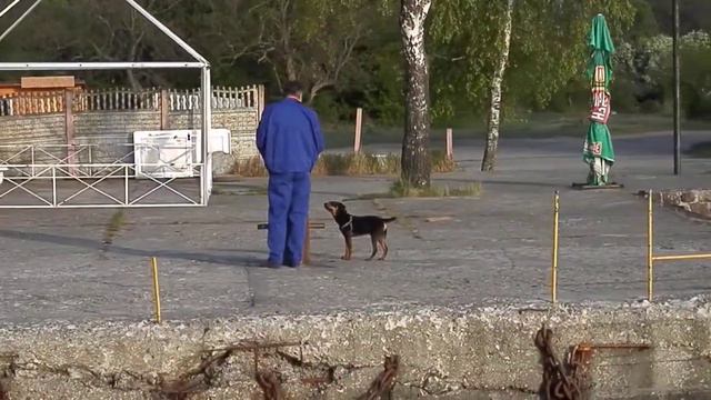 из Балтийска - на Балтийскую Косу... смотреть онлайн