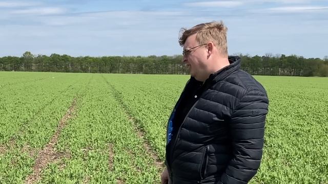 Зимуючий горох | Прибутковість та місце у сівозміні смотреть онлайн