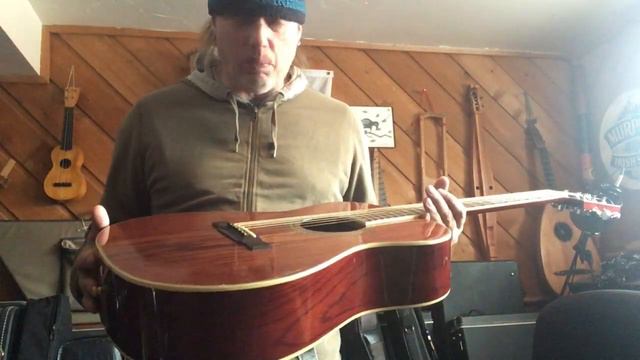 Washburn F11 BR Folk Guitar смотреть онлайн