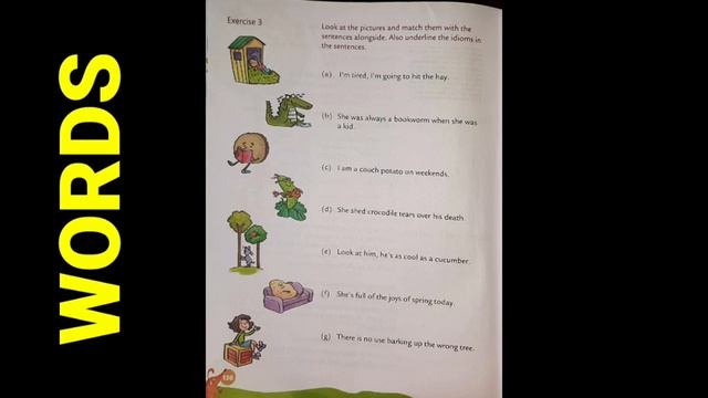 "WORDS" Idioms, Proverbs and Anagrams смотреть онлайн