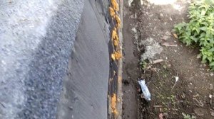 Утепление и гидроизоляция задней стены гаража