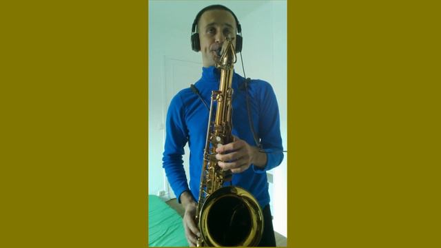 I Want To Talk About You(B.Eckstine) by IS ILFAT SADYKOV with funky playback смотреть онлайн
