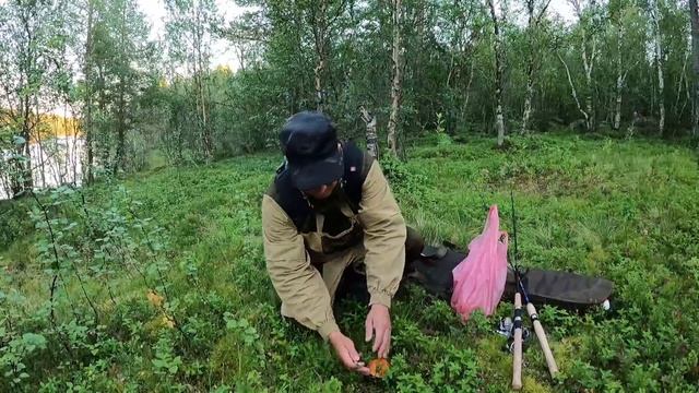 ДЕЛО БЫЛО ВЕЧЕРОМ, ДЕЛАТЬ БЫЛО НЕЧЕГО И Я ПОШЁЛ НА РЫБАЛКУ смотреть онлайн