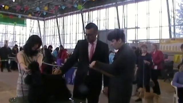 Moscow 06.04.2013 Speciality "Lider Prestizh" Veteran class смотреть онлайн