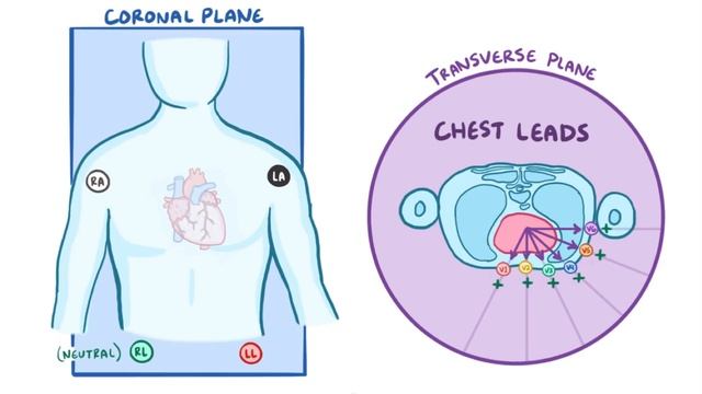 Electrocardiography (ECG/EKG) - basics смотреть онлайн