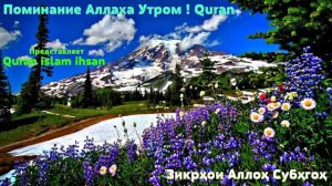 поминание Аллаха утром и вечером самые золотой зикр