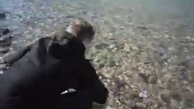 Обзор реки "пшада" с Глебом Старковым смотреть онлайн