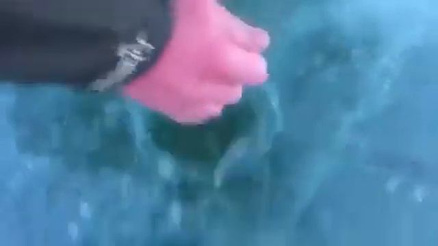 Веселая рыбалка на жерлицы. Монстр на льду смотреть онлайн