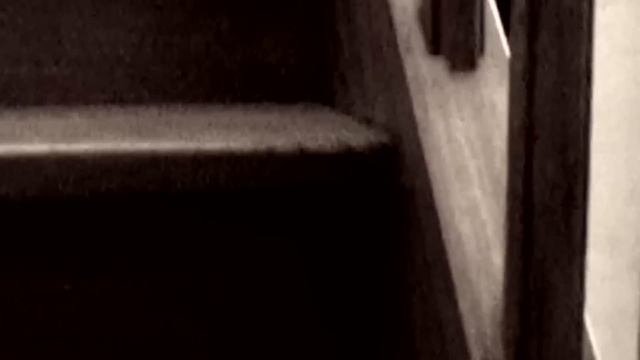 ПРИТВОРЯЛСЯ ВРАЧОМ 18 ЛЕТ: Жан-Клод Роман. Дело раскрыто | Неразгаданные тайны