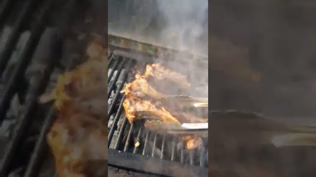 Вкусная дача мясо на мангале смотреть онлайн