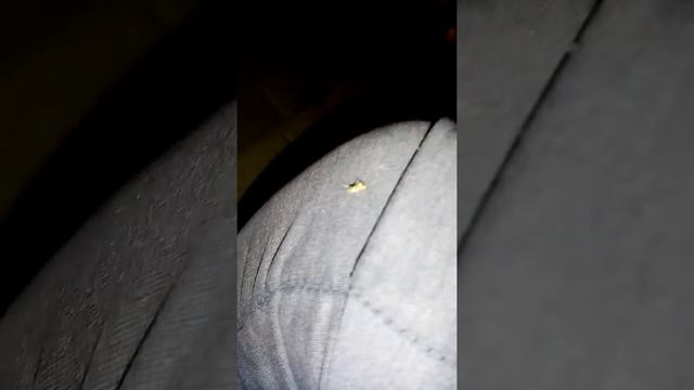 Стройка Вдохновений