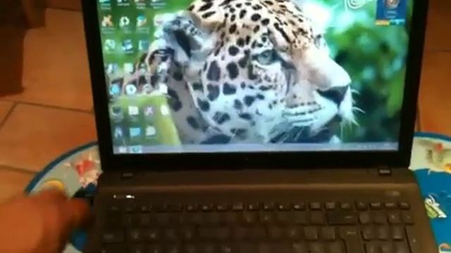 A55vm смотреть онлайн
