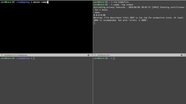 Caddy dynamic proxy смотреть онлайн